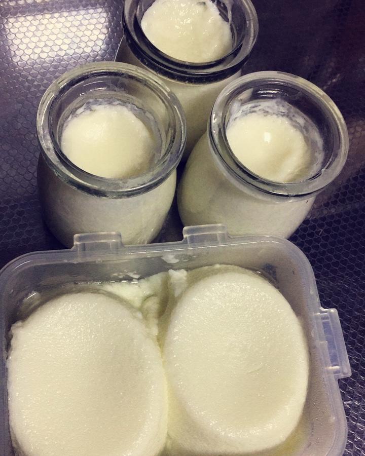 鸡蛋清布丁🍮