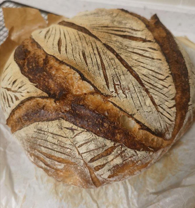 【Ken Forkish】Pain de campagne天然酵种法国乡村欧包（附水温换算公式）