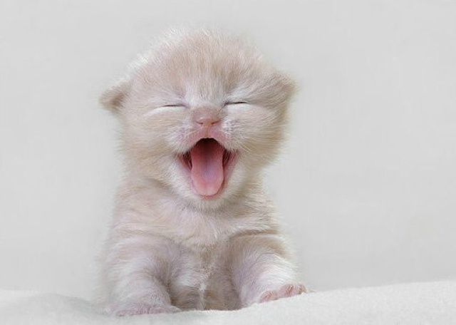 Astrid_友尽尽尽尽尽