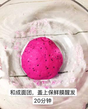 宝宝零食——火龙果磨牙棒（6M+）的做法 步骤4