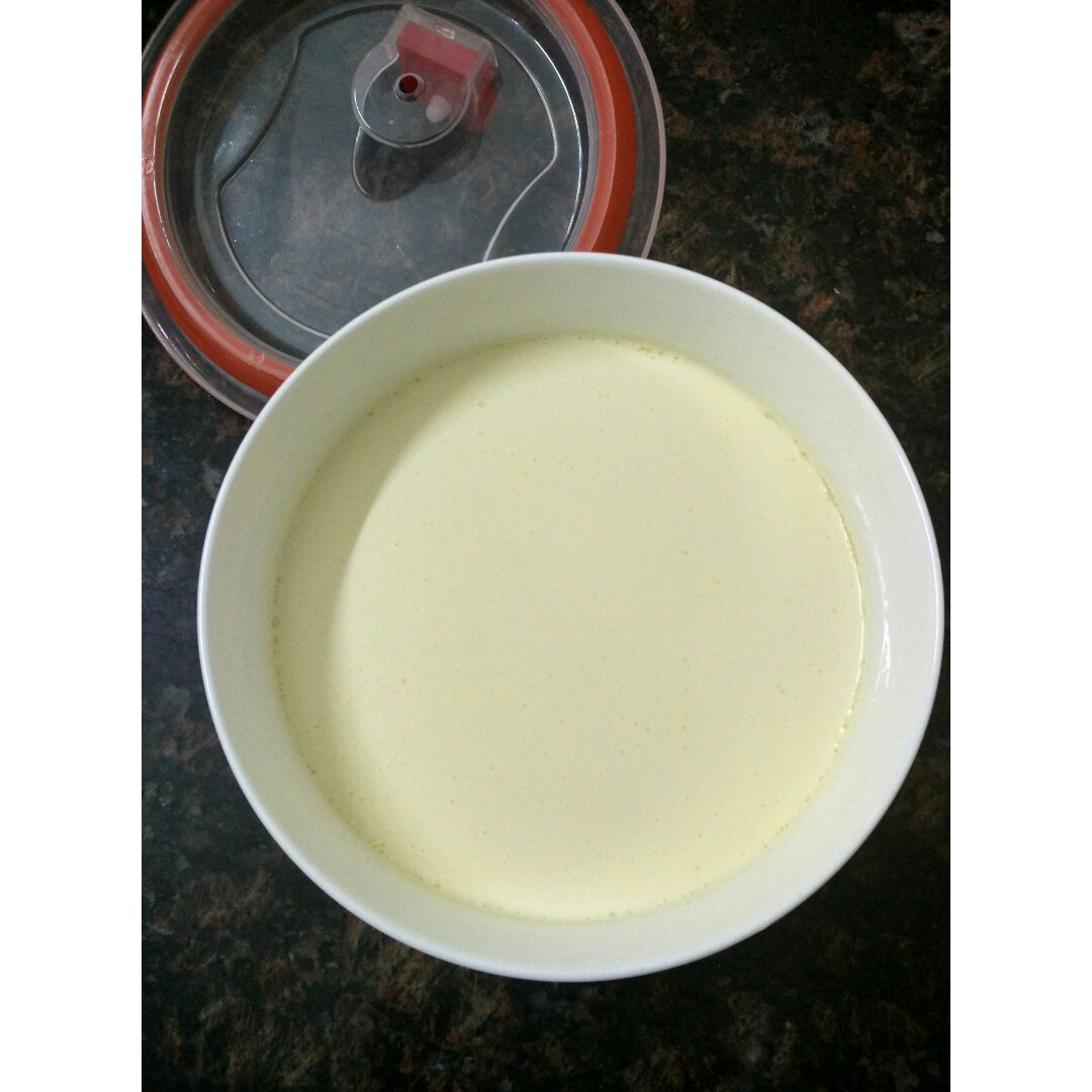 鱼蛋婷做的自制法式酸奶油