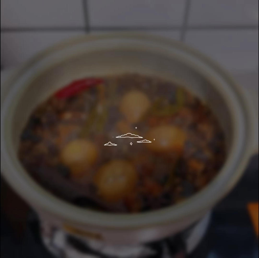 好吃到停不下来的卤肉饭