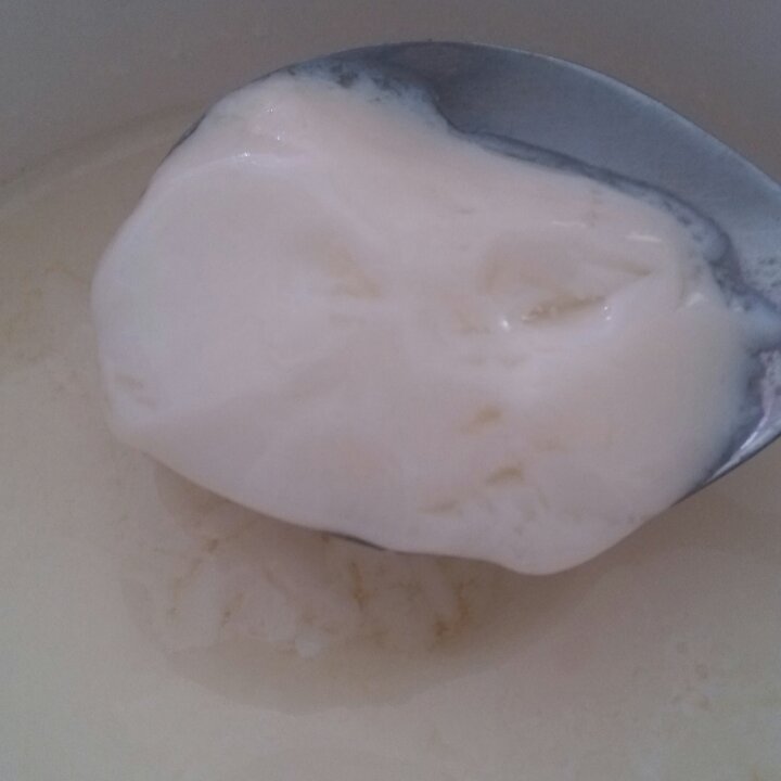 姜撞奶