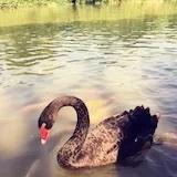 蓝蓝海蓝蓝