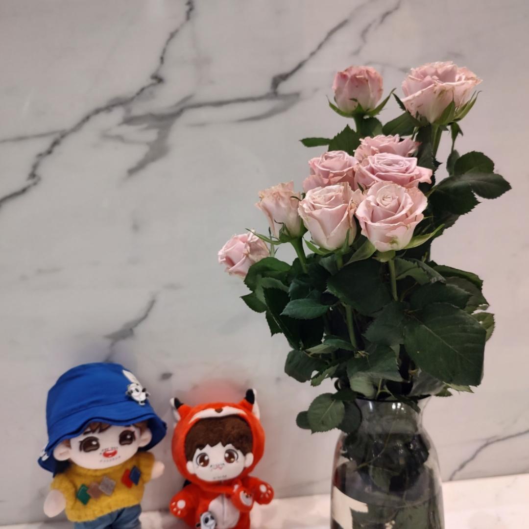 下厨房用户_tnyma
