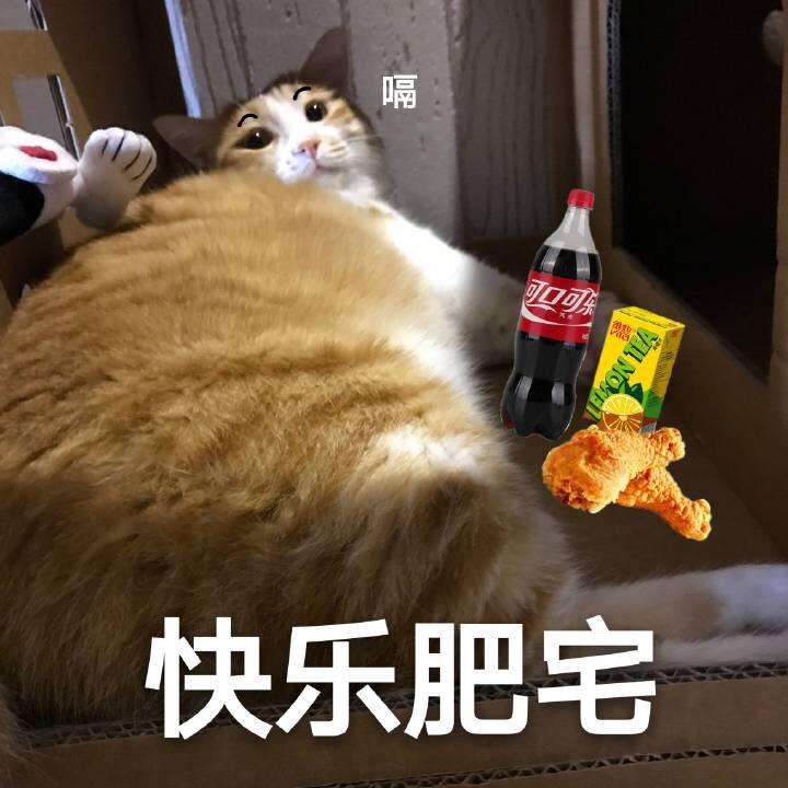 没错其实我就是虾酱