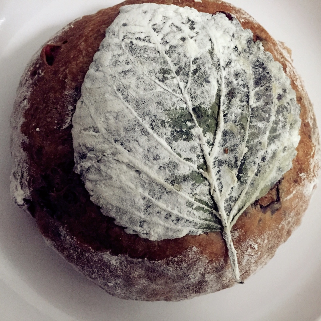 巧克力蔓越莓软欧 Rano Bread