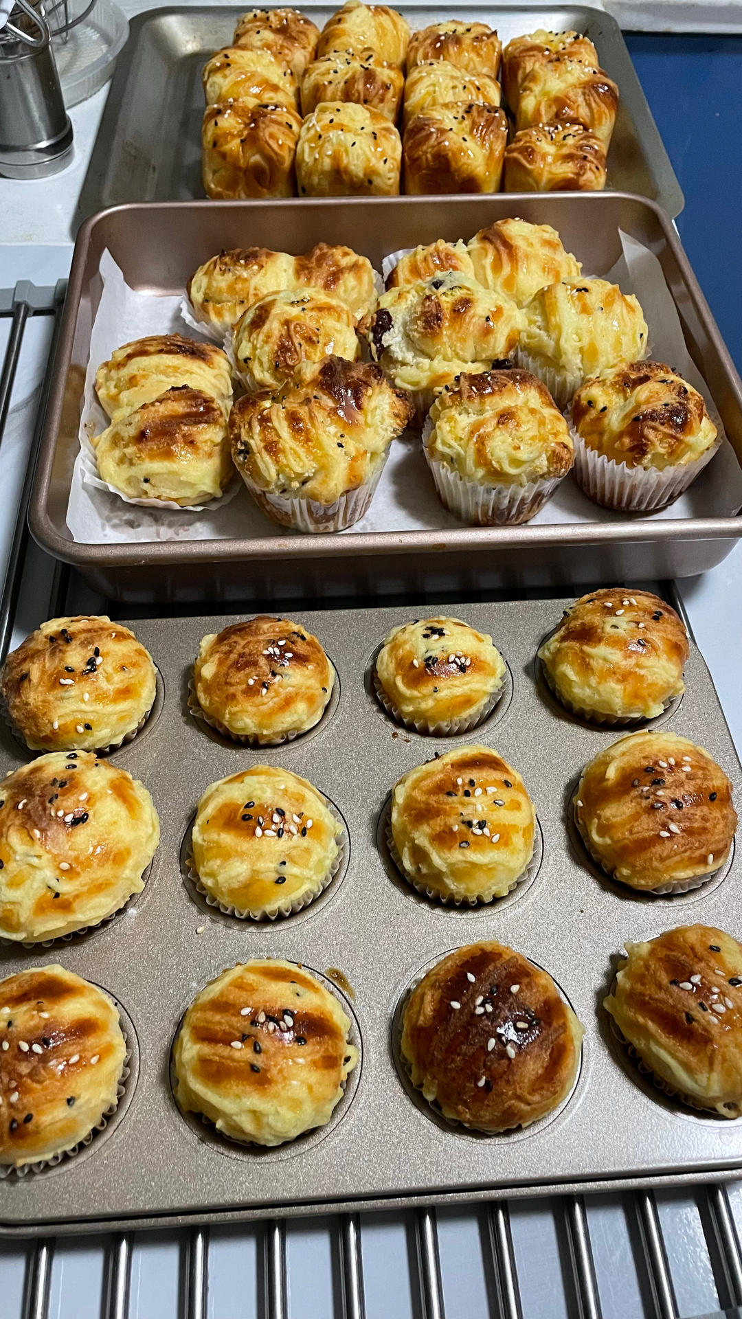 椰蓉蔓越莓排包