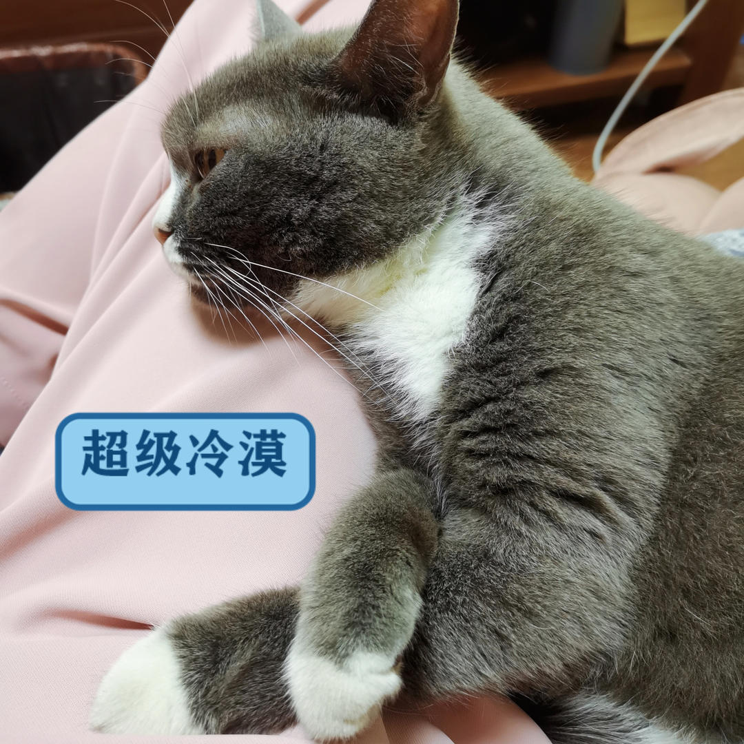 下厨房用户_f4gib