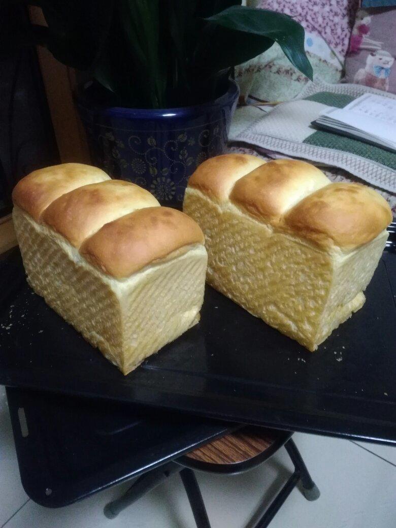 奶香吐司面包