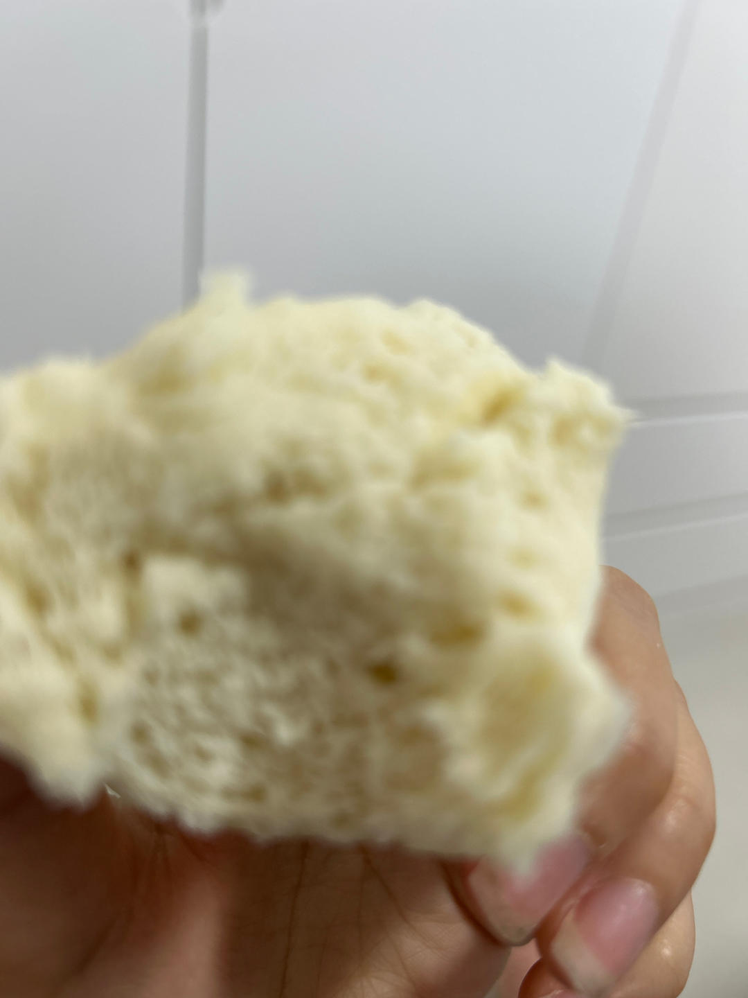 奶香馒头（面包机揉面）