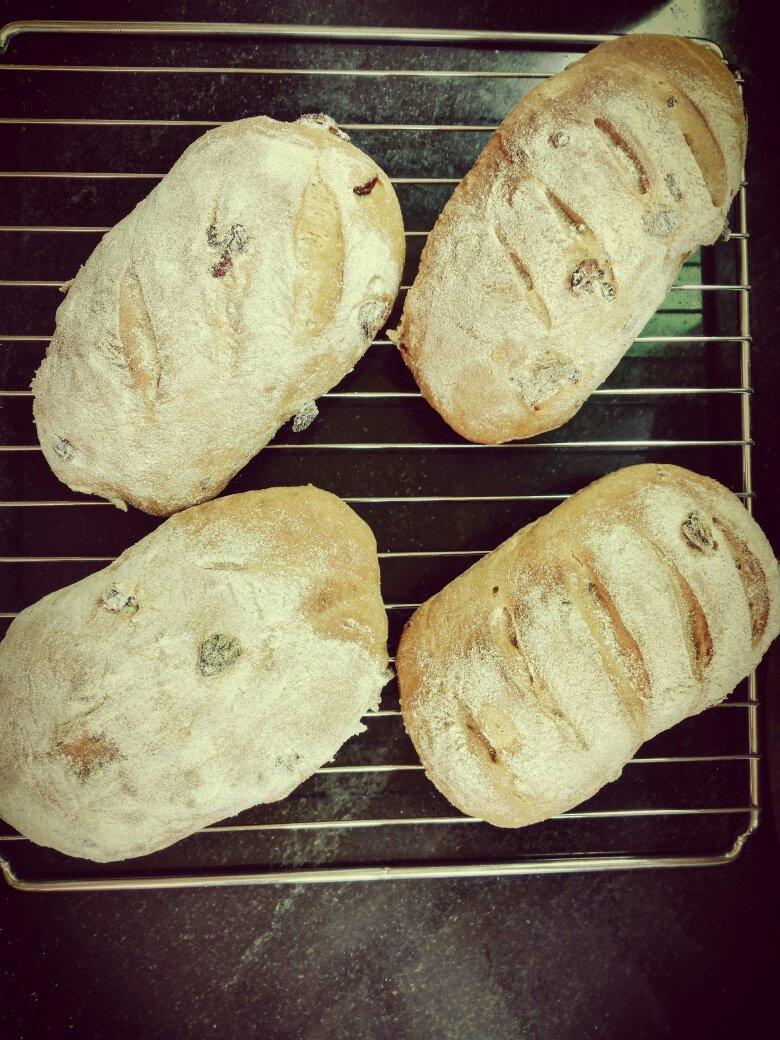 全麦蔓越莓软式欧包（免揉）