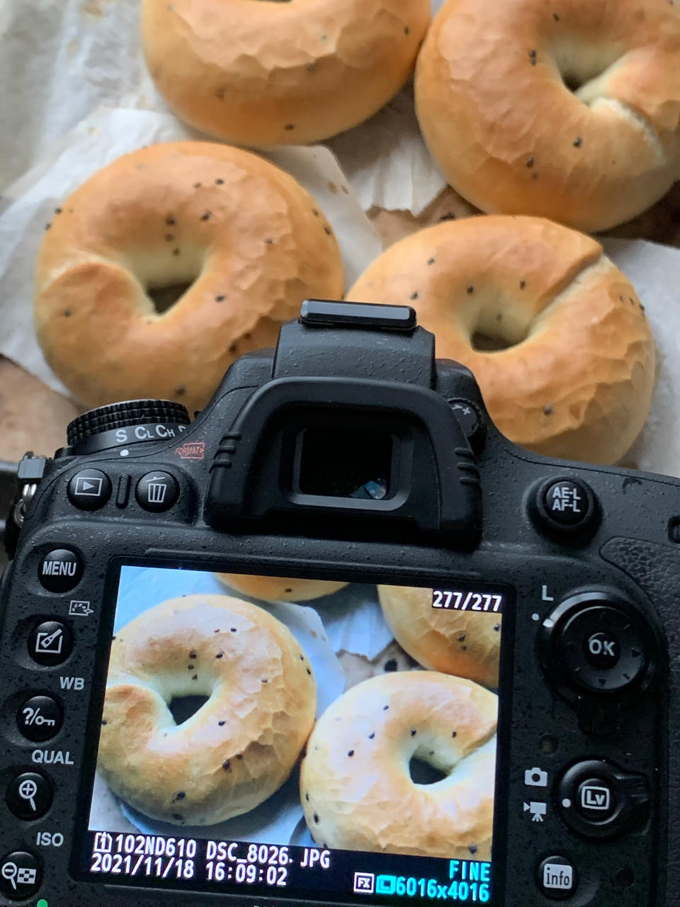 芝麻贝果（咸）