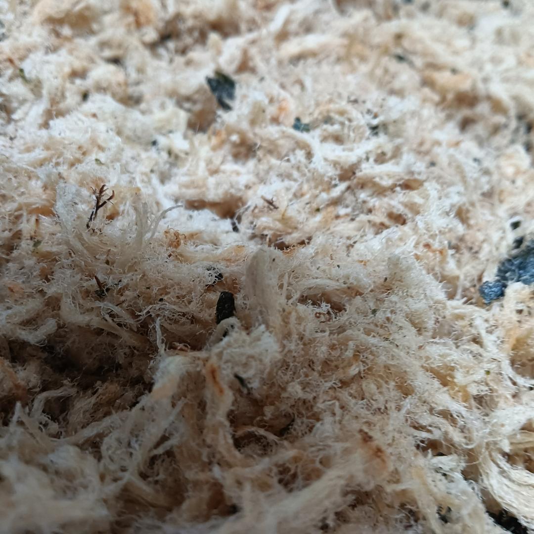 真后悔发现晚了，用了十年面包机，今天才发现这功能真是绝了