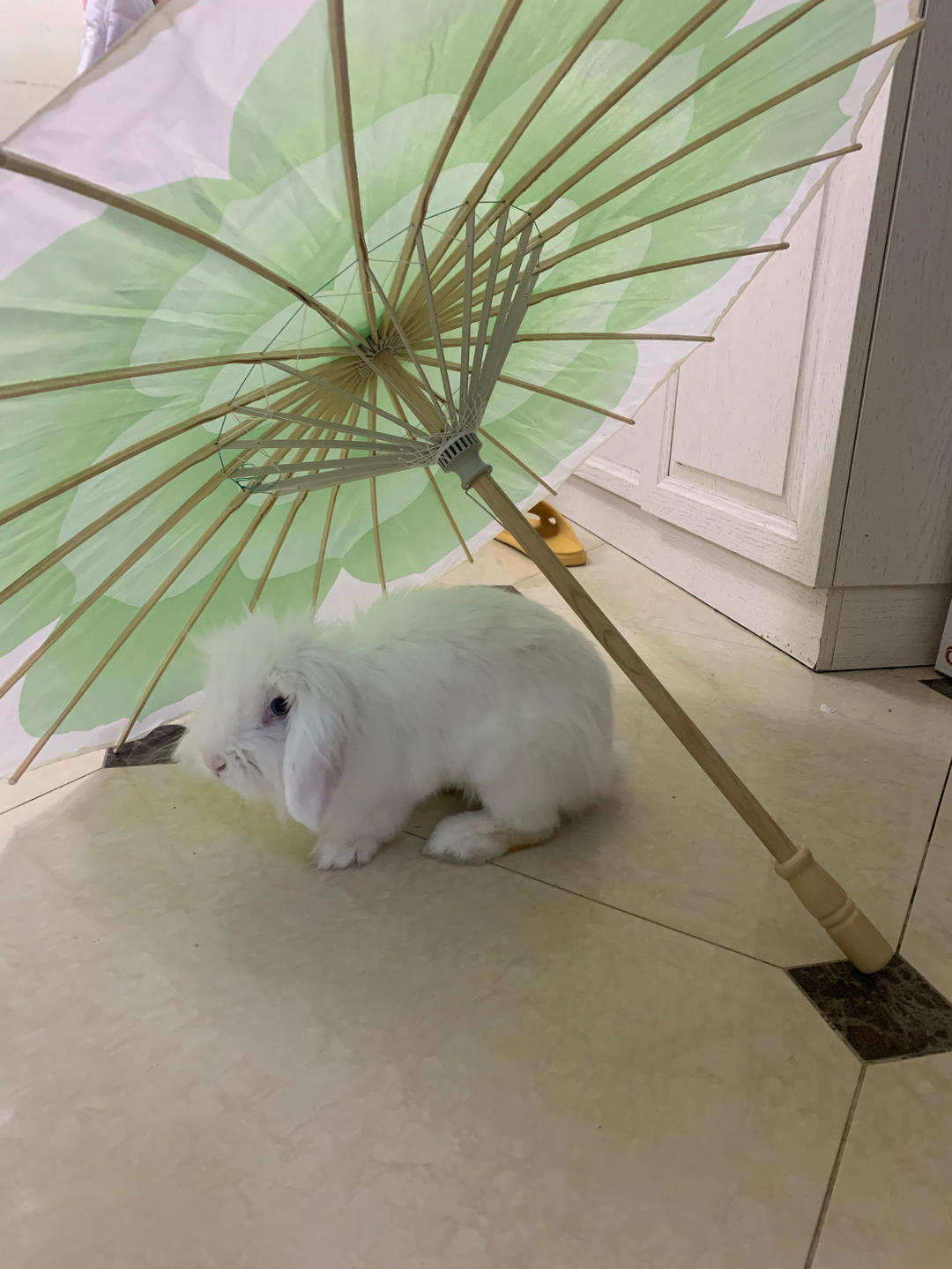 爱上烟雨江南第一天