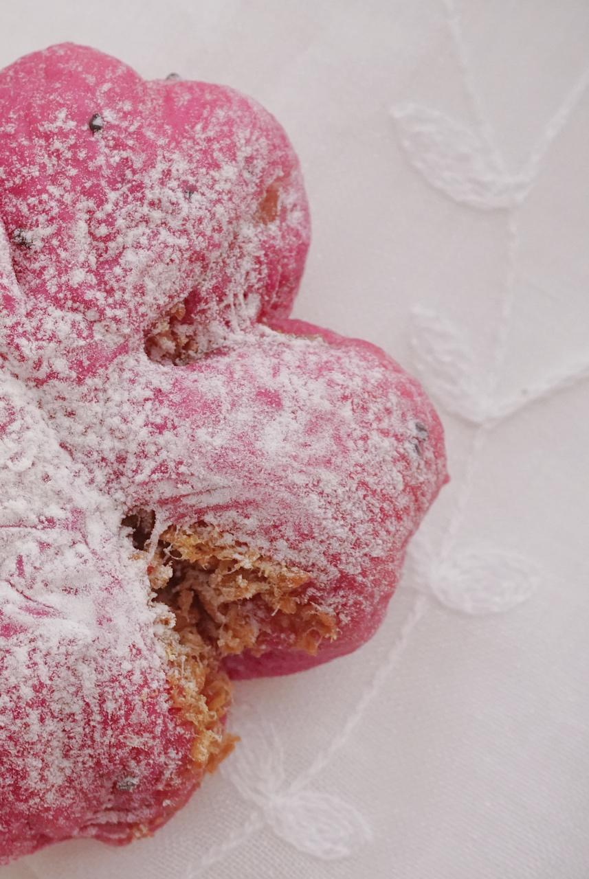 💕少女心biu biu biu 💕 肉松馅的火龙果面包