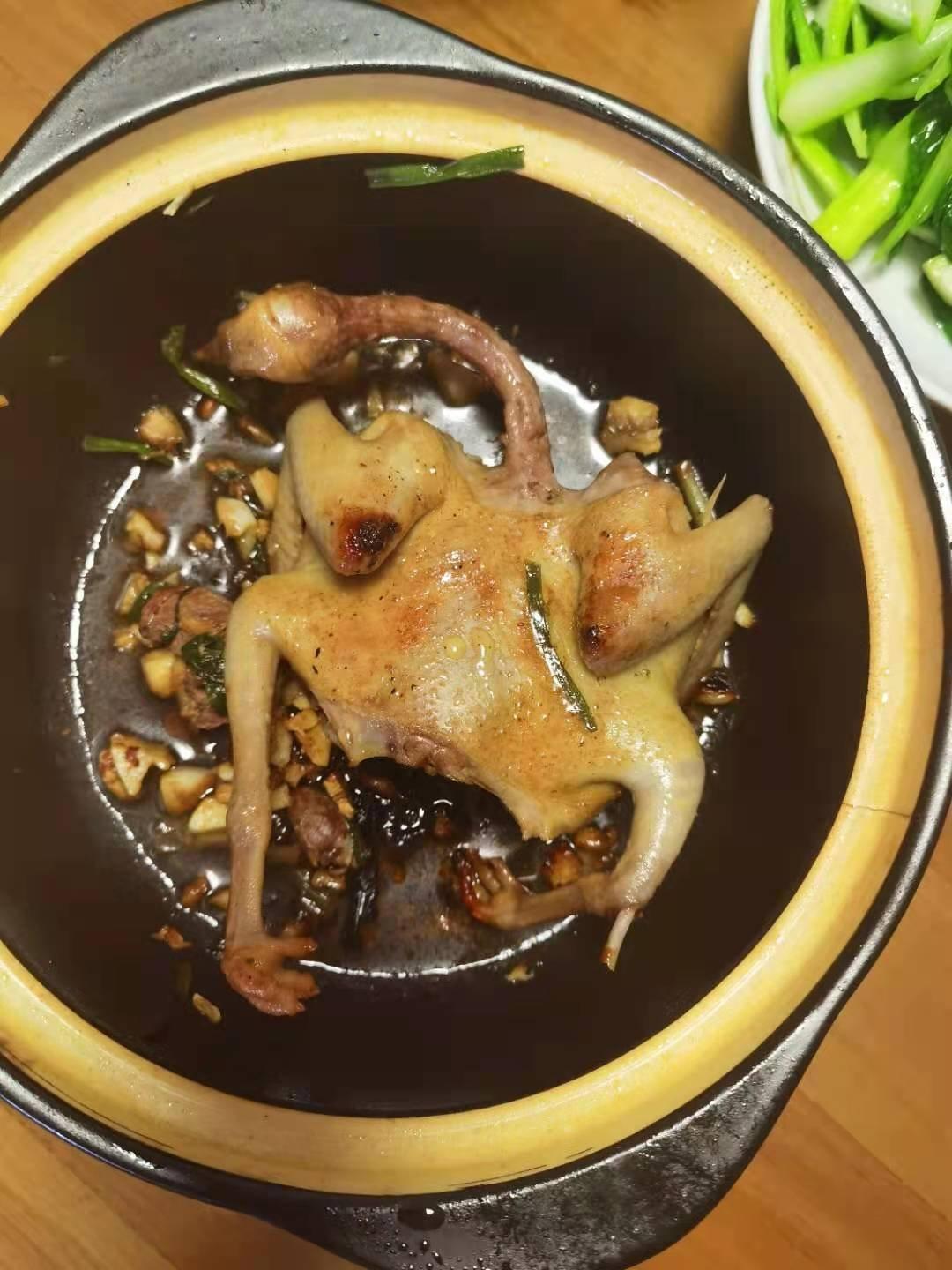 懒人版沙姜白鸽