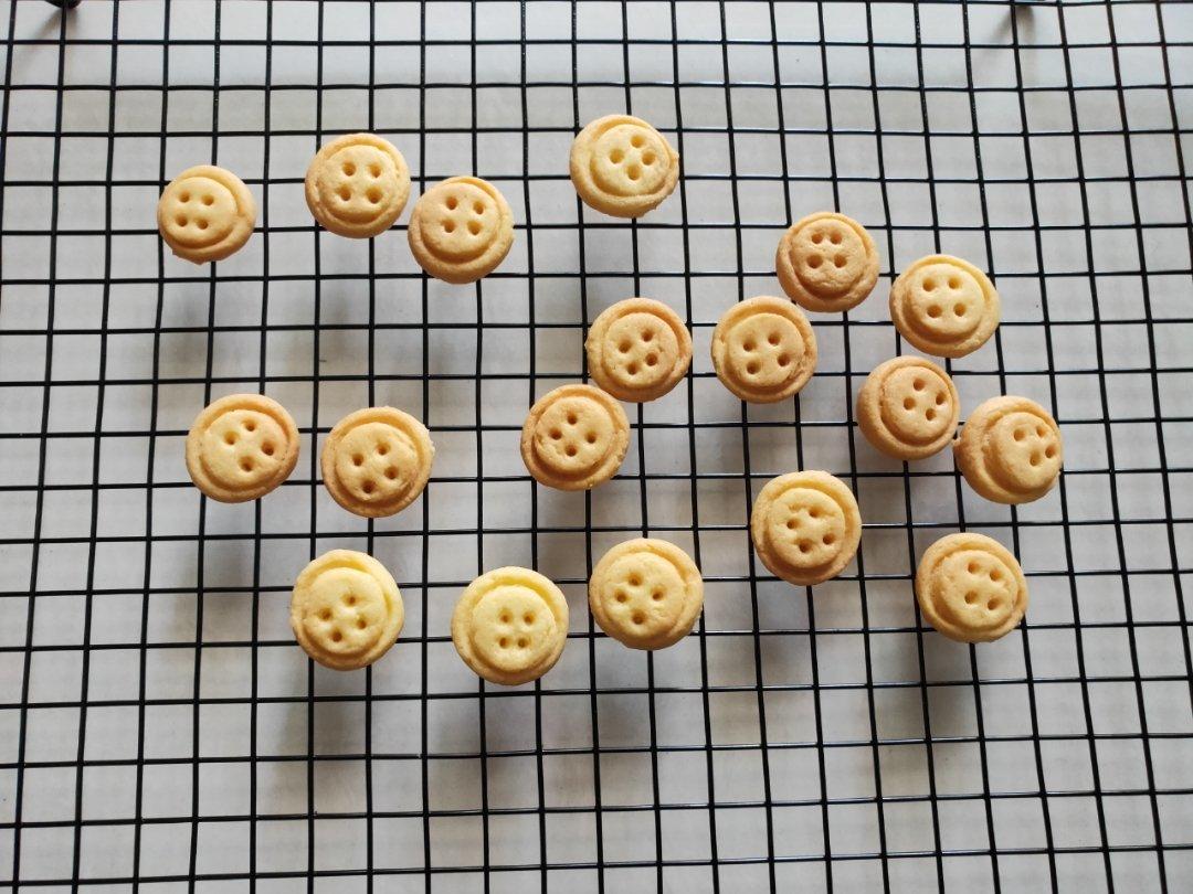 纽扣饼干┃萌到没朋友