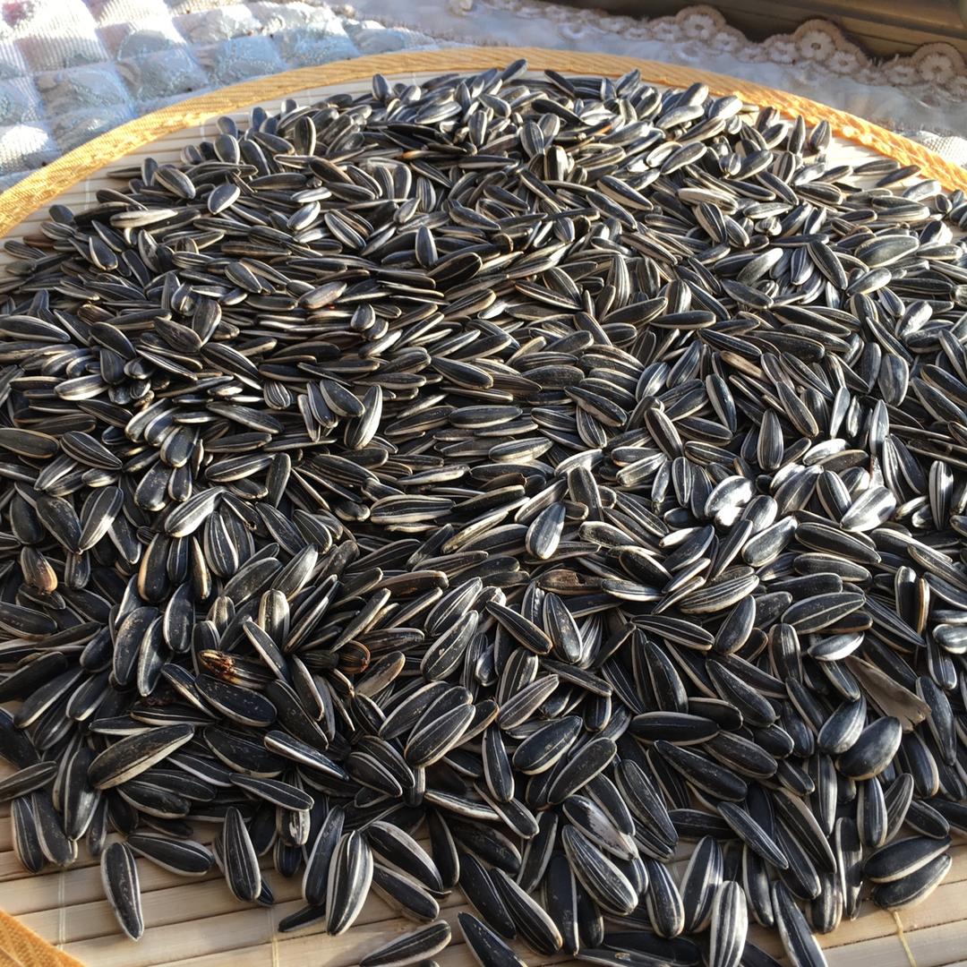 滴水的发稍做的烤箱版炒瓜子