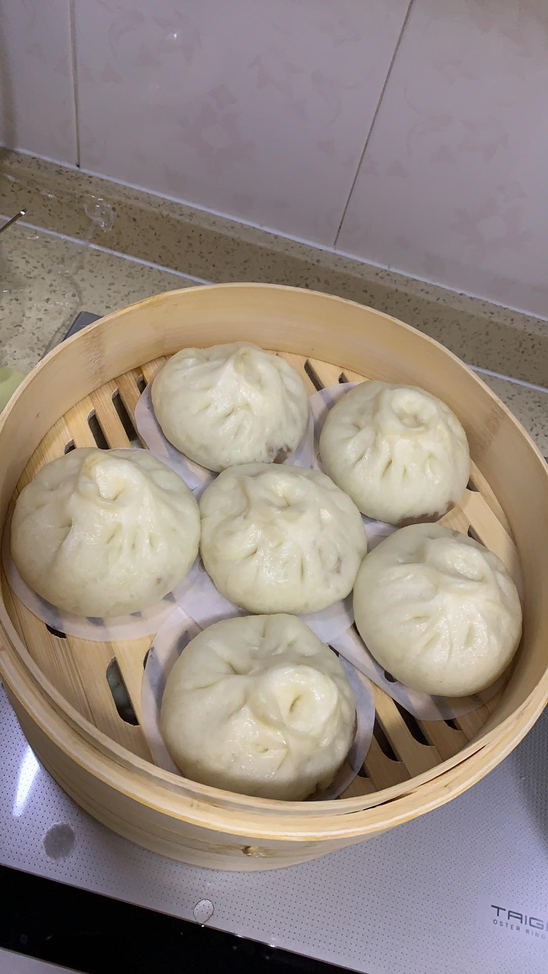 一次发酵肉包子