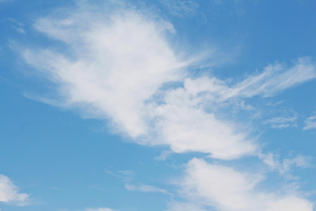 好女子温良恭俭让