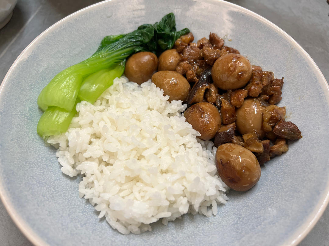 洋葱酥卤肉饭
