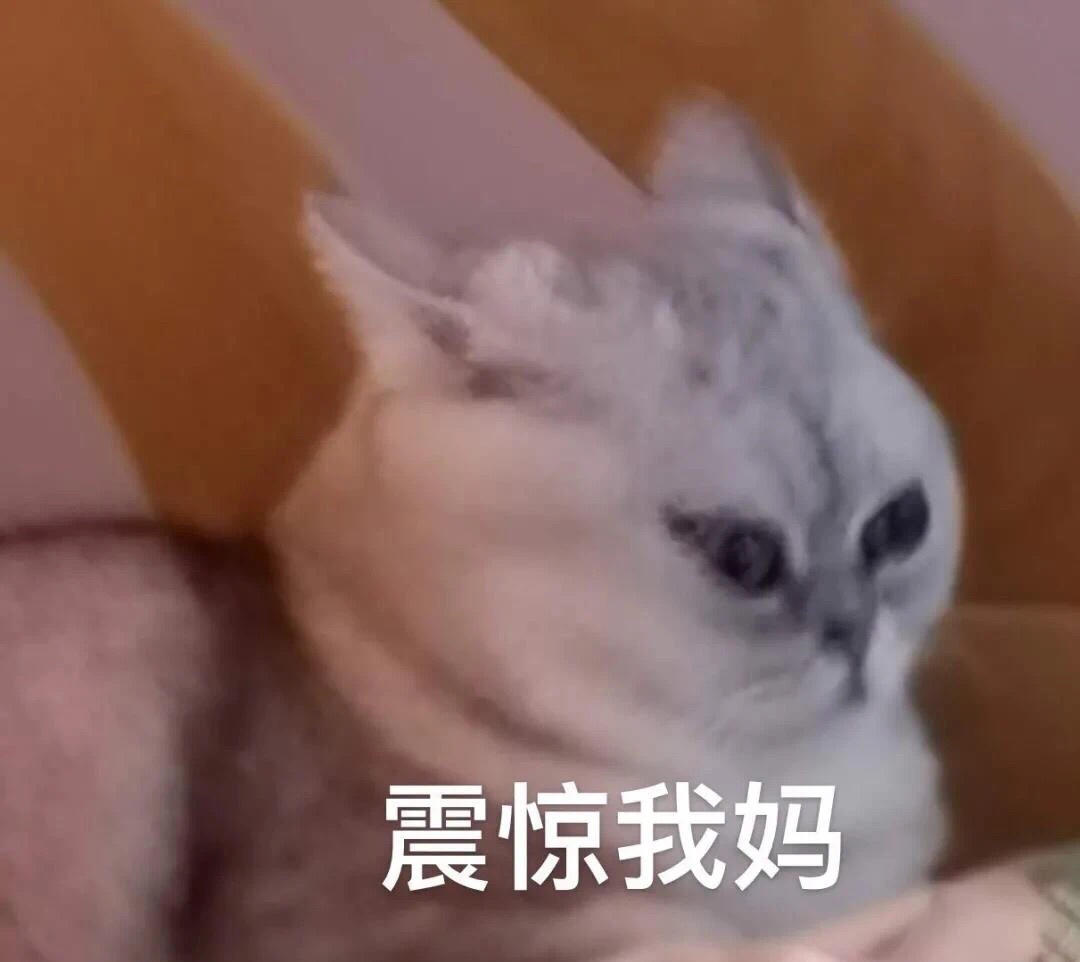 猫猫想吃饭的厨房