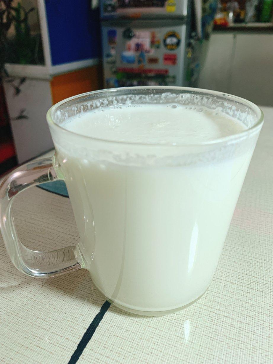 香浓顺滑花生米露自己做，营养好喝，方便又快手