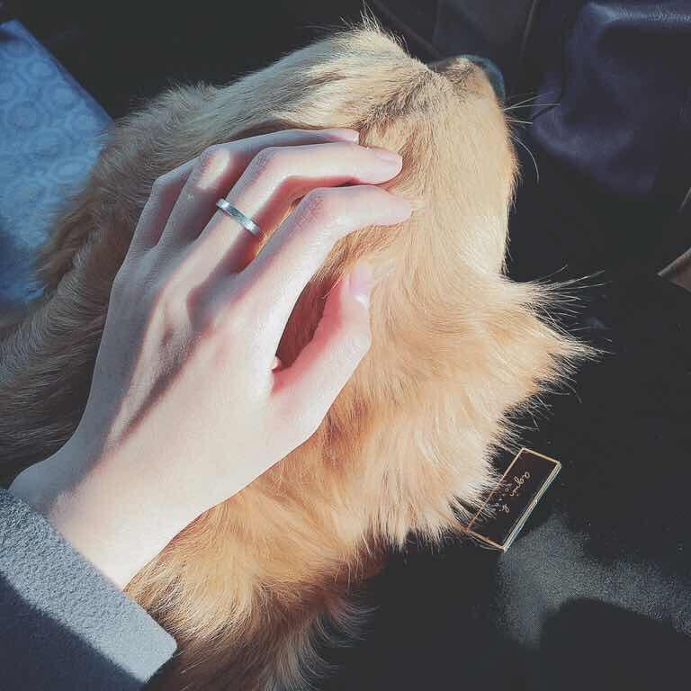 晶睿呐