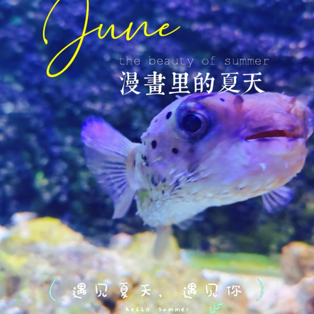 小格周末厨房