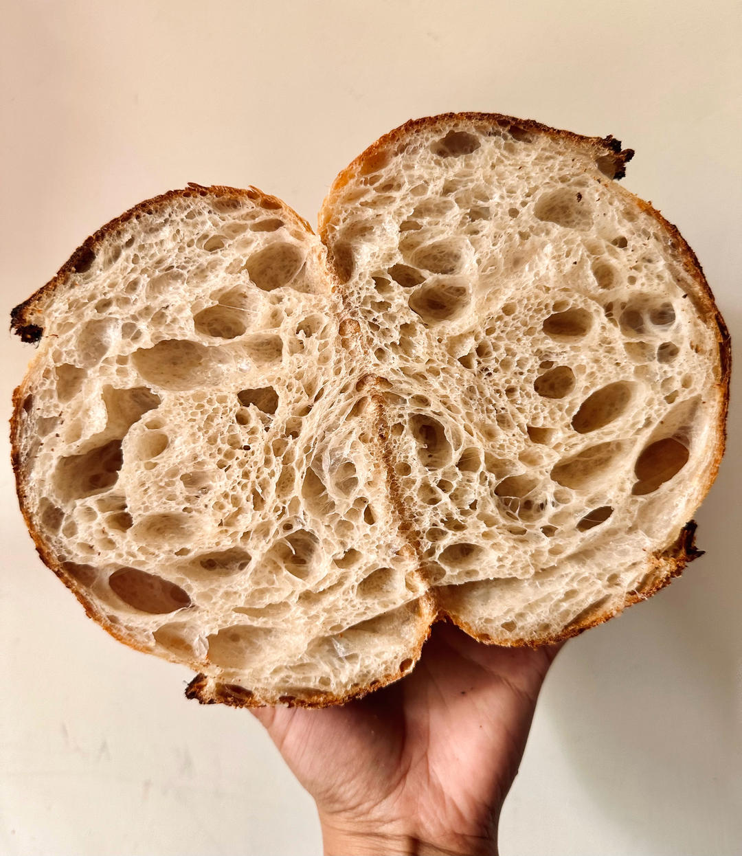 天然酵种基础乡村面包Basic Country Bread at Tartine