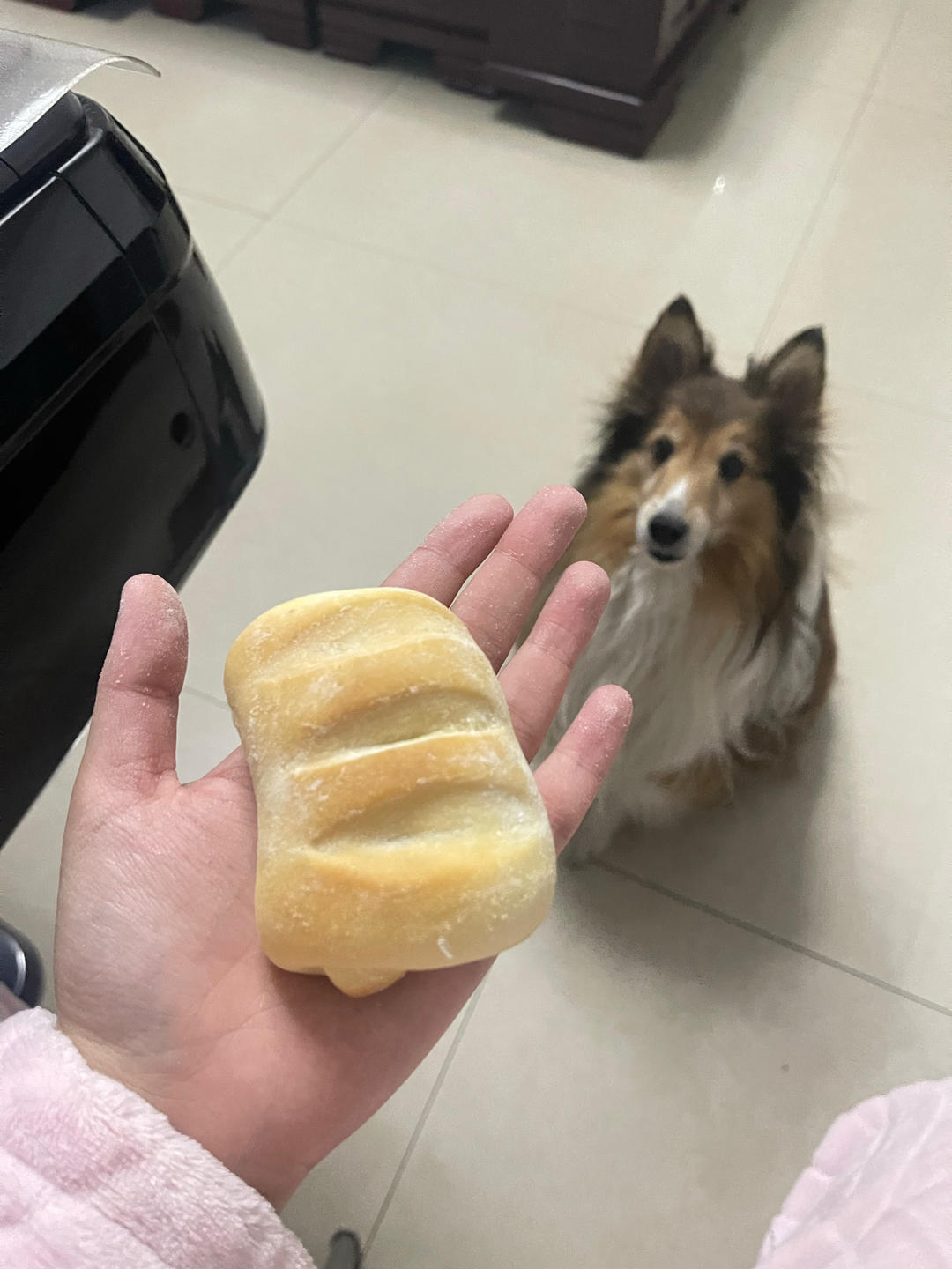 软到不知所措的牛奶卷