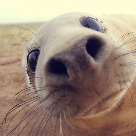 花花的美好生活