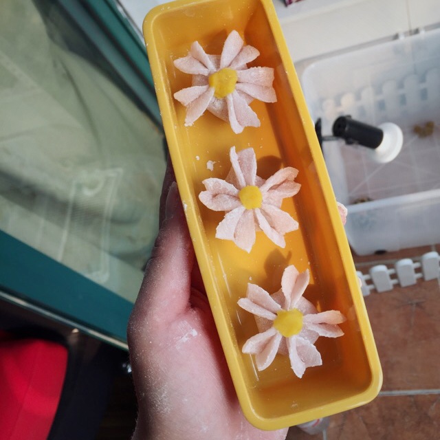 生菓子——樱花
