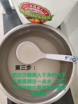 自制火龙果酵素的做法 步骤4