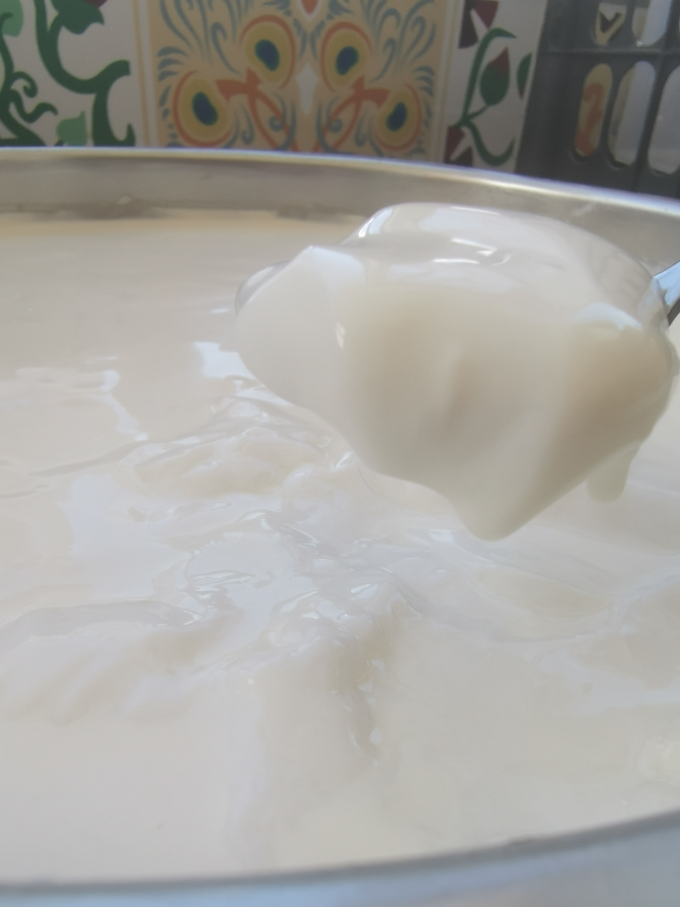 自制原汁原味酸奶的做法 步骤5