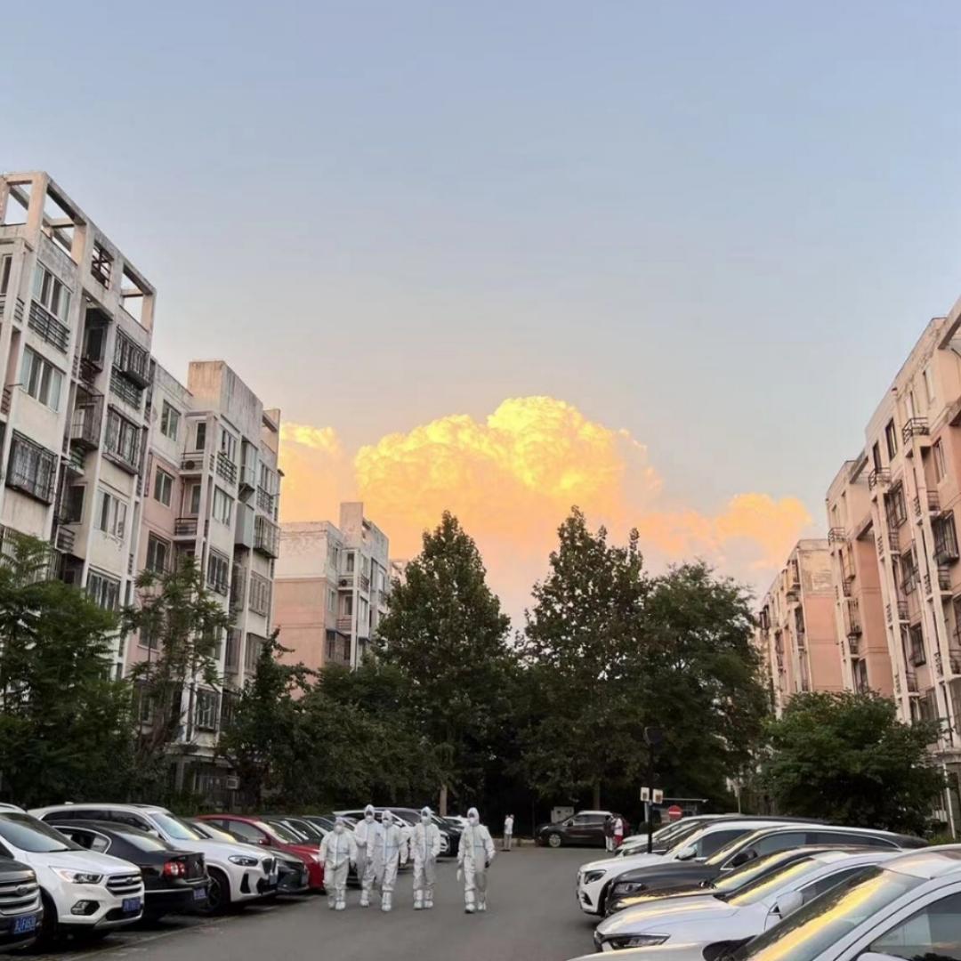 墨桃桃