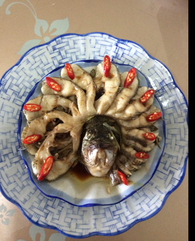孔雀开屏鱼