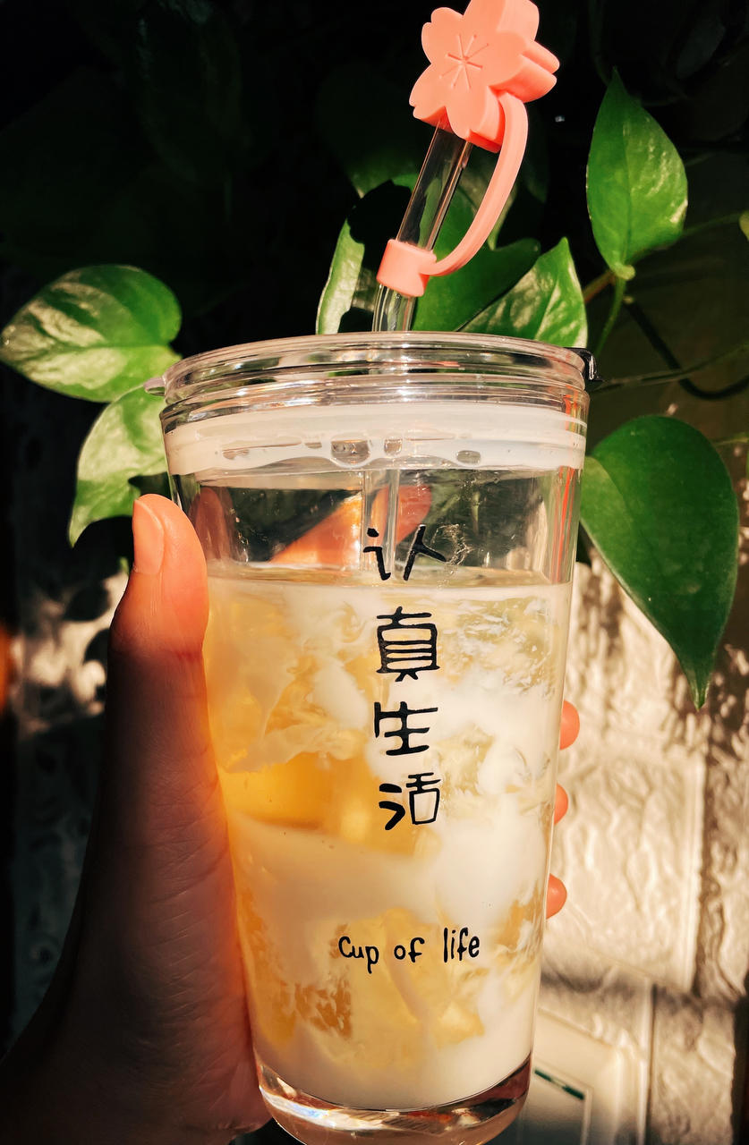 海底椰🥥菊花🌼雪梨🍐膏（清热润肺）