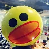 Lily就是老子啊