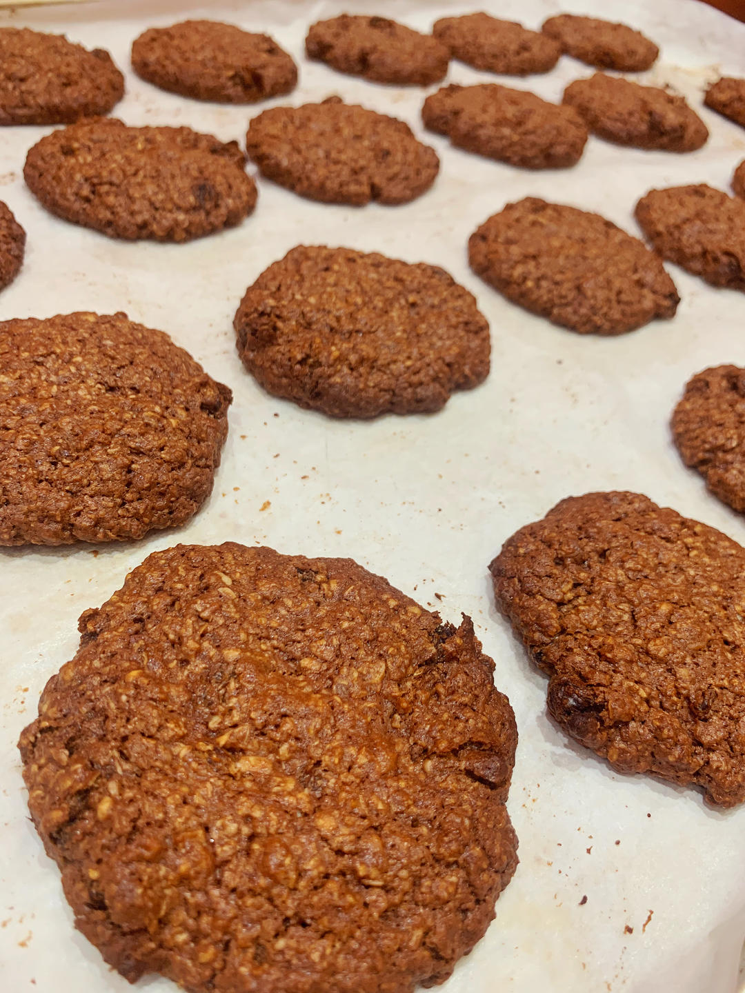 瑞典特色燕麦饼干（巧克力口味），只需豁楞豁楞