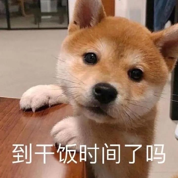 会做饭但是没必要
