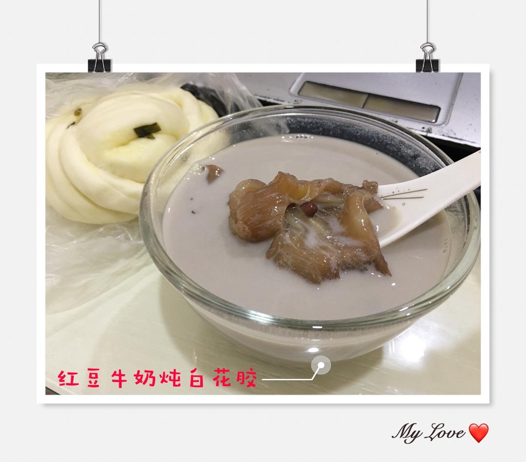 【养生炖品】牛奶花胶燕窝甜品 滋补养颜 适用孕产期