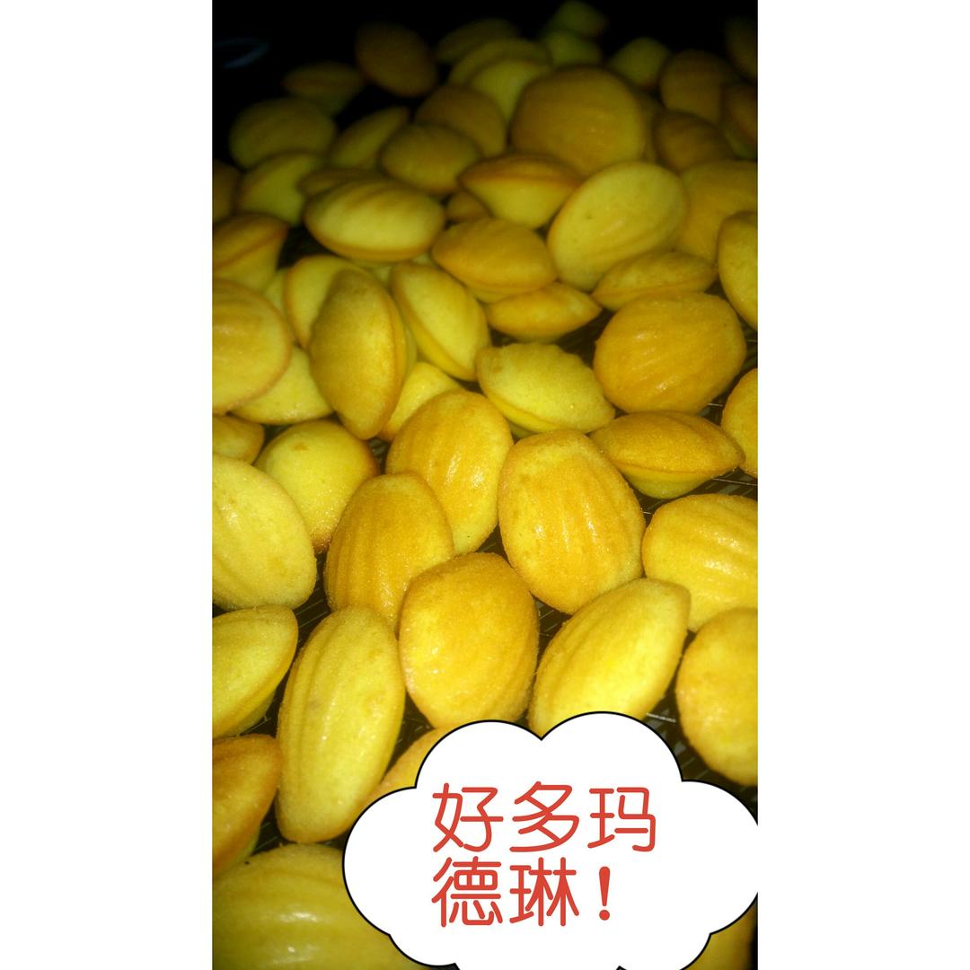 玛德琳（蓝带方）