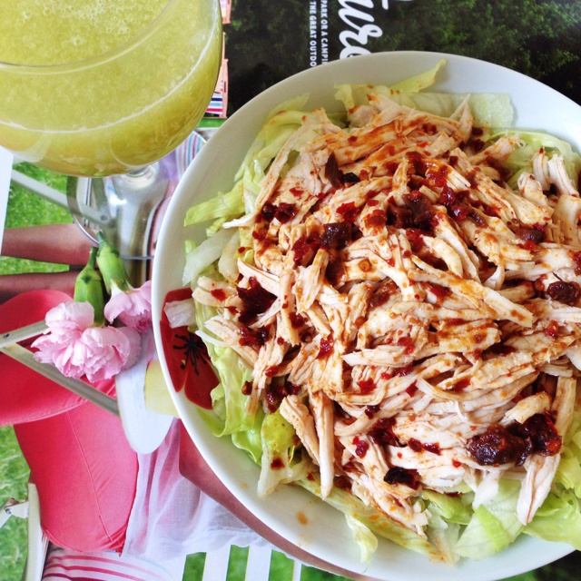 哥本哈根减肥食誌