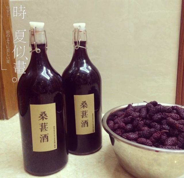 桑椹酒