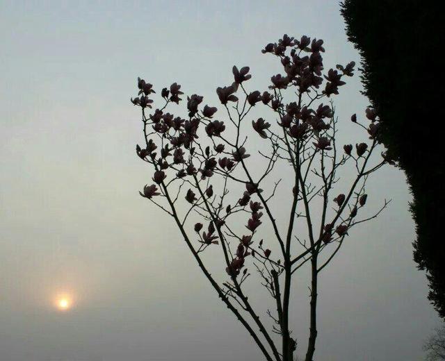 那一场 风花雪月。。。的做法