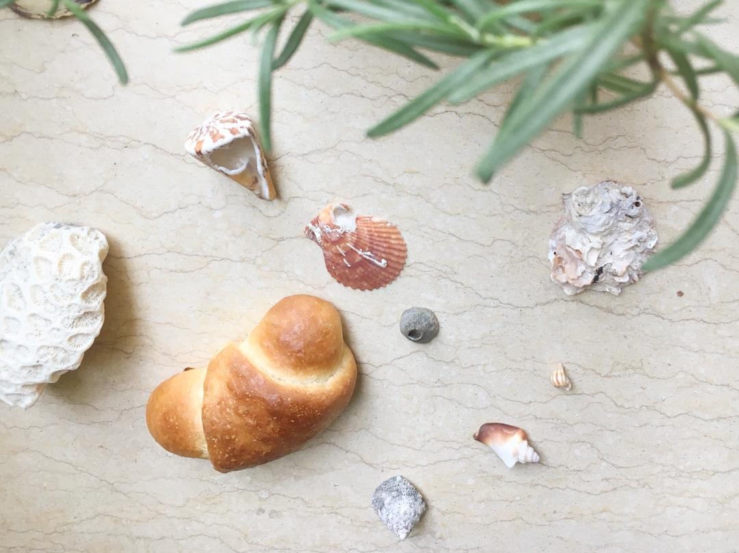 零失败盐面包（低油低糖，慢熟成，有机版）牛奶鸡蛋过敏者推荐使用