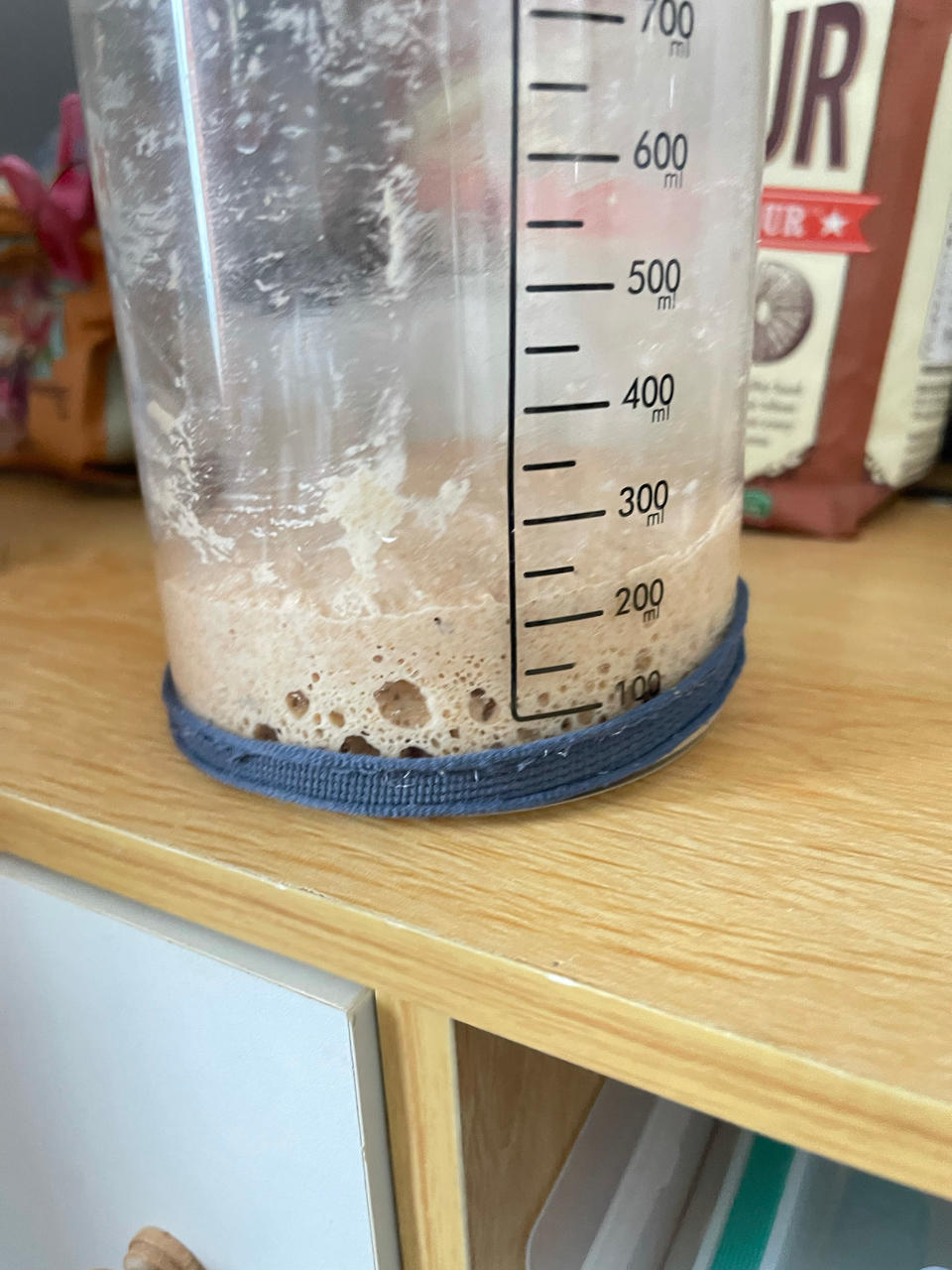 天然酵母鲁邦种培养日记（全麦面粉）成功