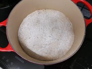 斯佩尔特土豆面包 Dinkel-Kartoffelbrot的做法 步骤12